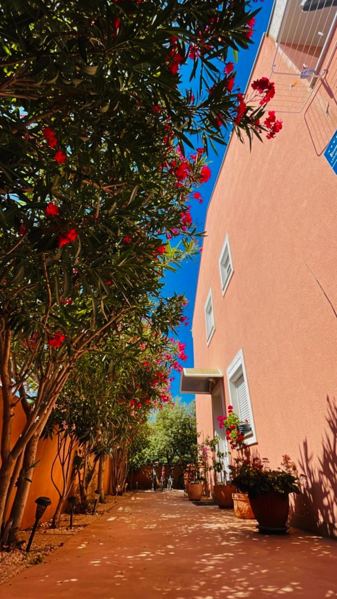 Guest House Navetta 2 فاجانا المظهر الخارجي الصورة
